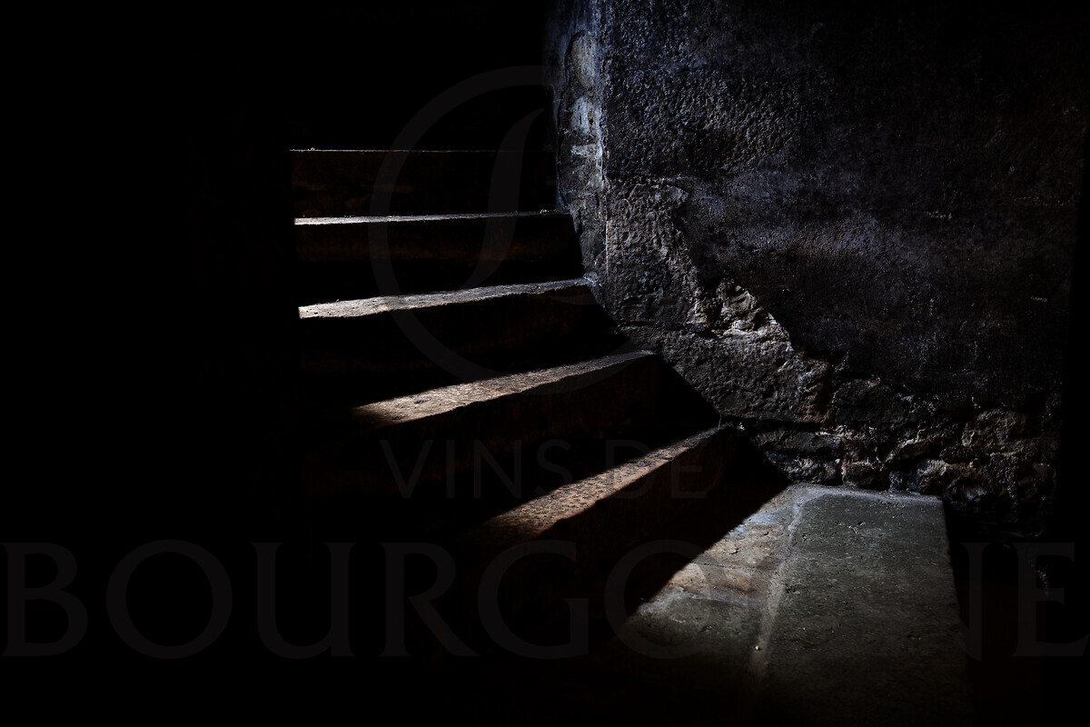 CavesdeBourgogne08