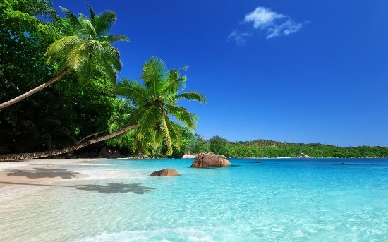 Le-paradis