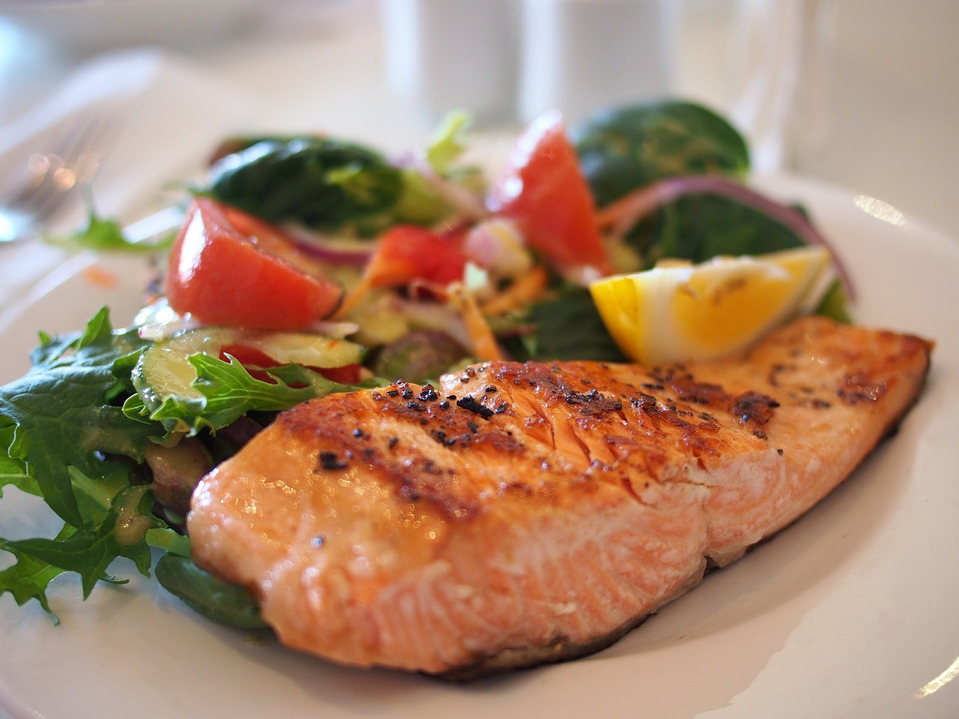 Salmon-518032 1920