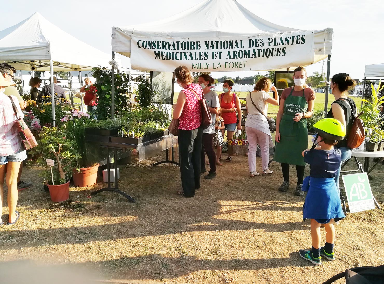 Marche herboriste 2020 plantes 05wb