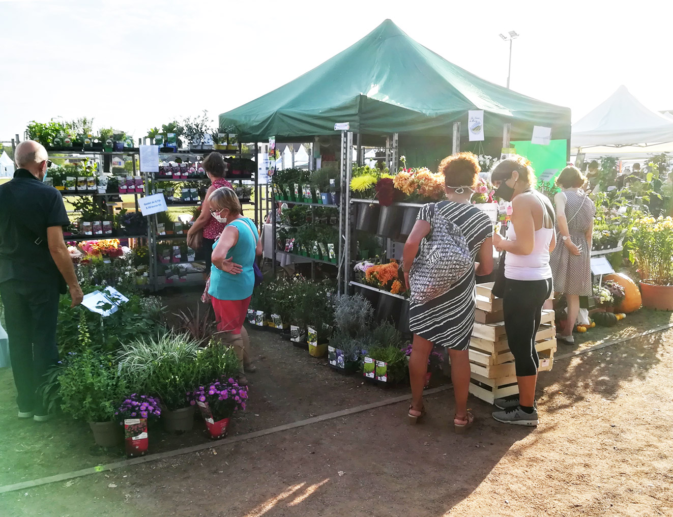 Marche herboriste 2020 plantes 04wb