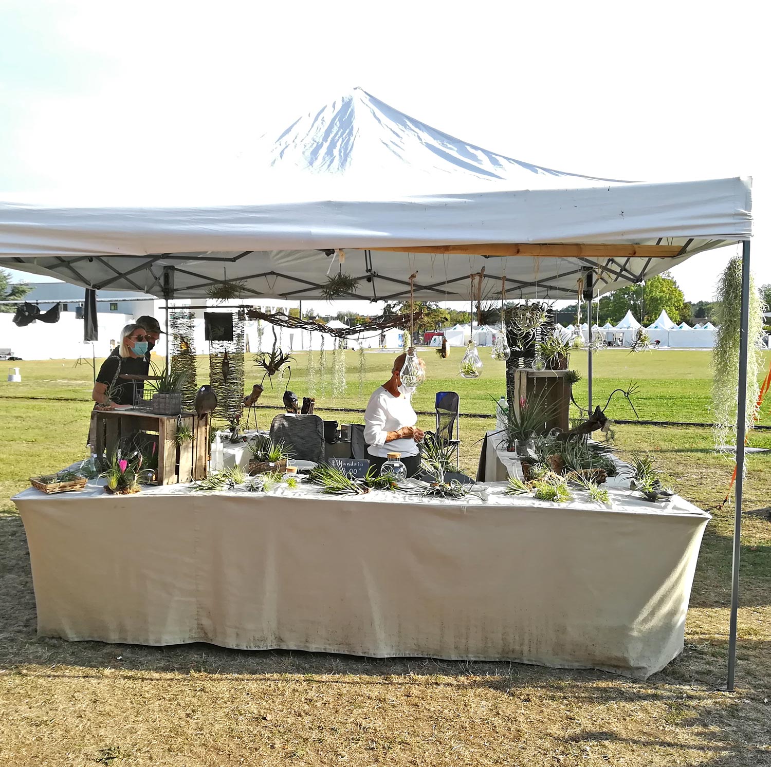 Marche herboriste 2020 plantes 06wb