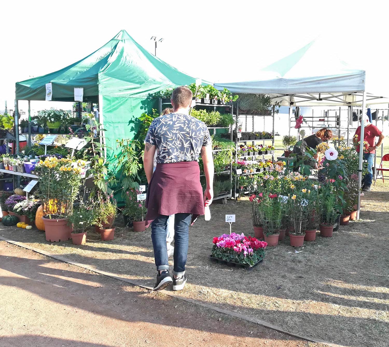 Marche herboriste 2020 plantes 08wb