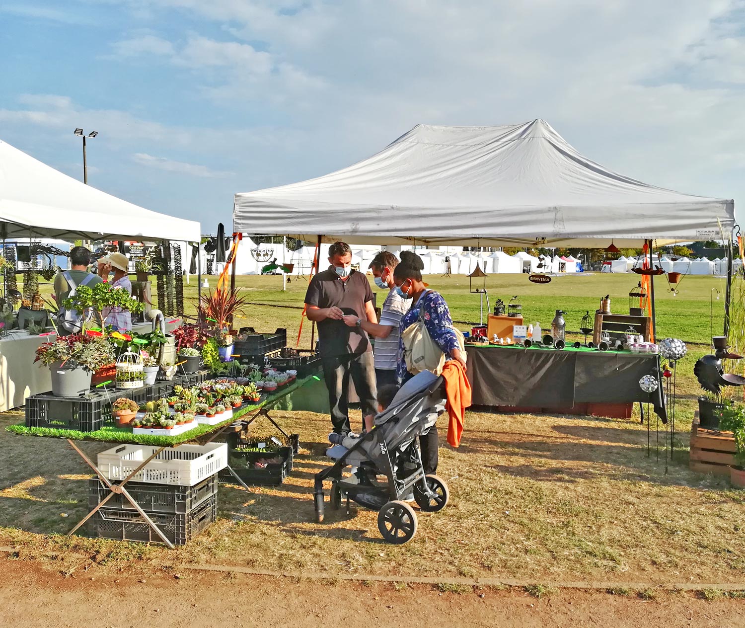 Marche herboriste 2020 plantes 01wb