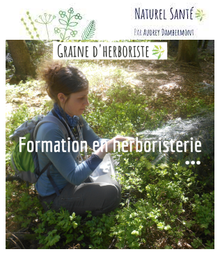 Naturel-sante-audrey-dambermont