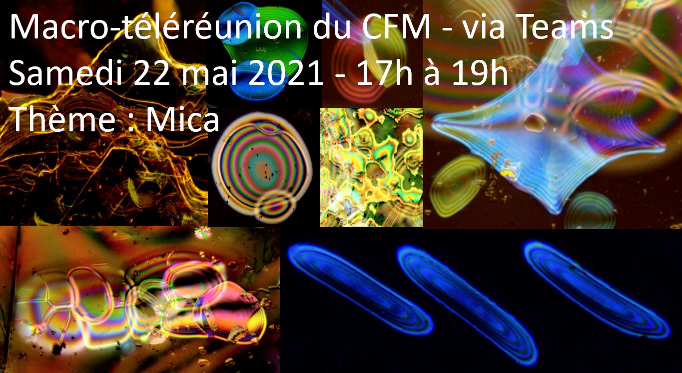 Telereunion-22-mai-2021