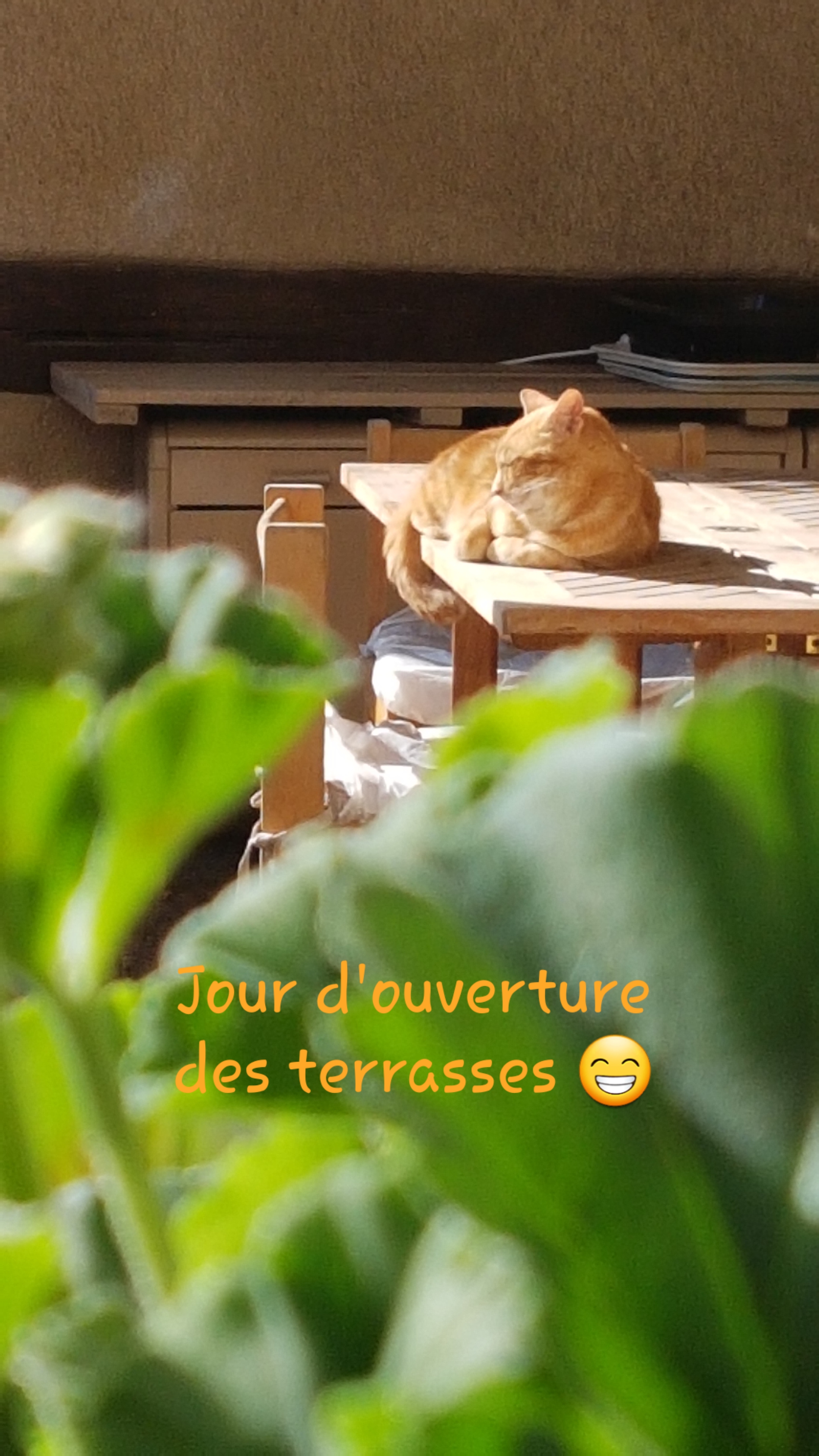 En terrasse