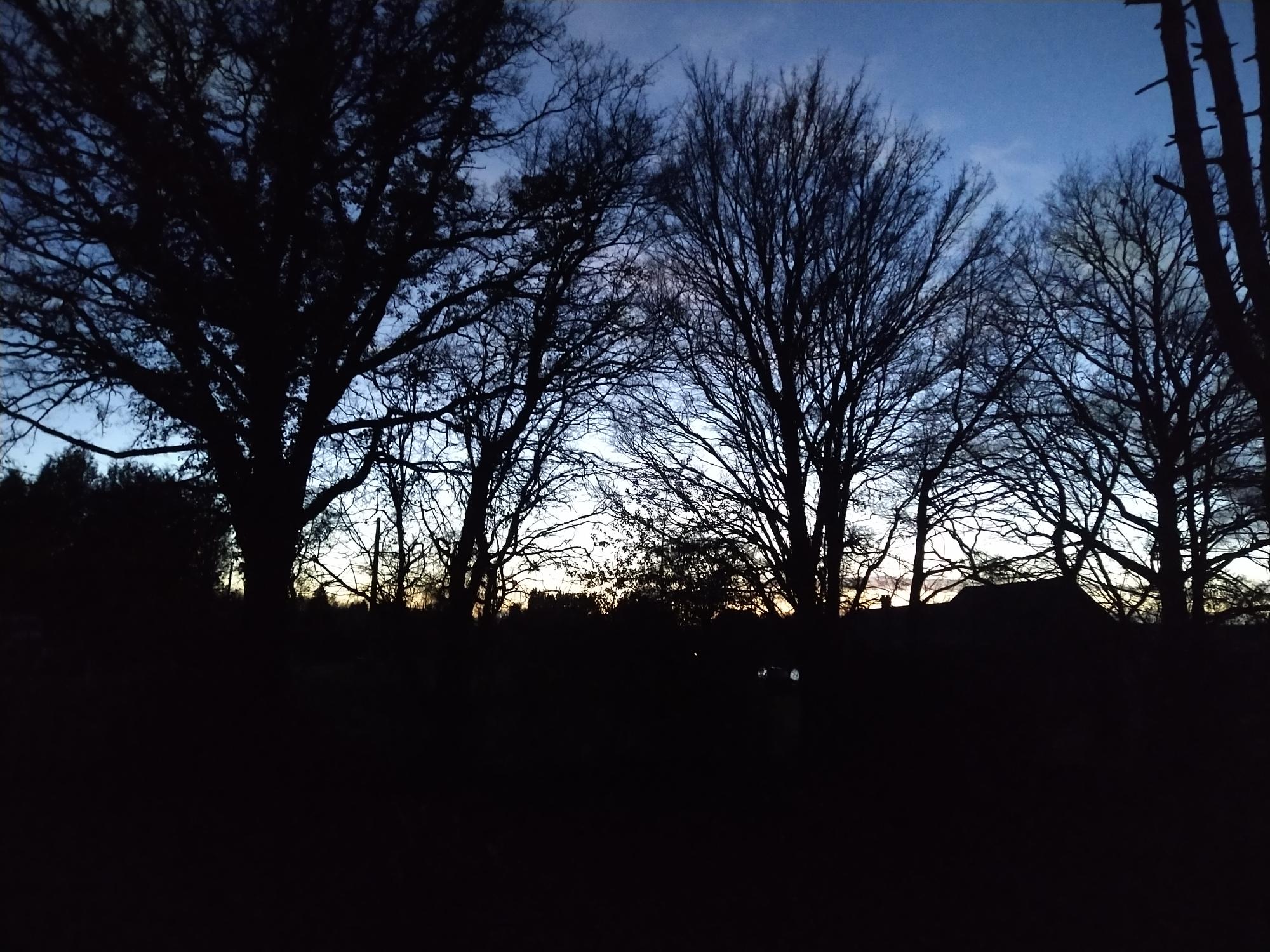 IMG 20210203 184503930