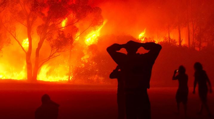 Feu-de-foret