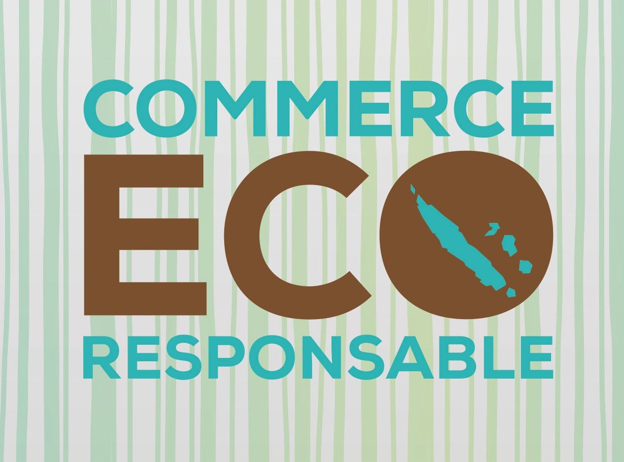 Logo-eco-court