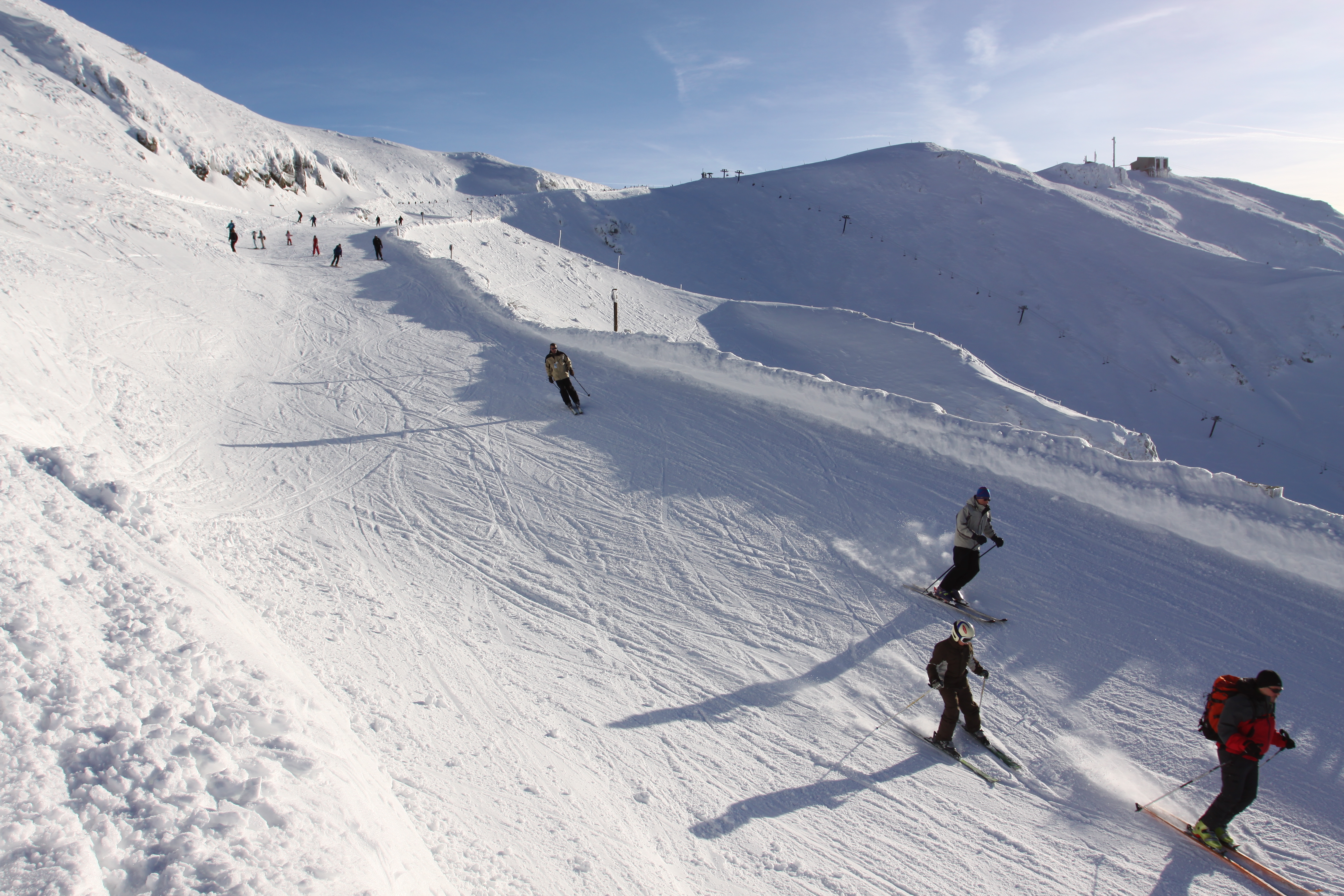 Pas des alpins