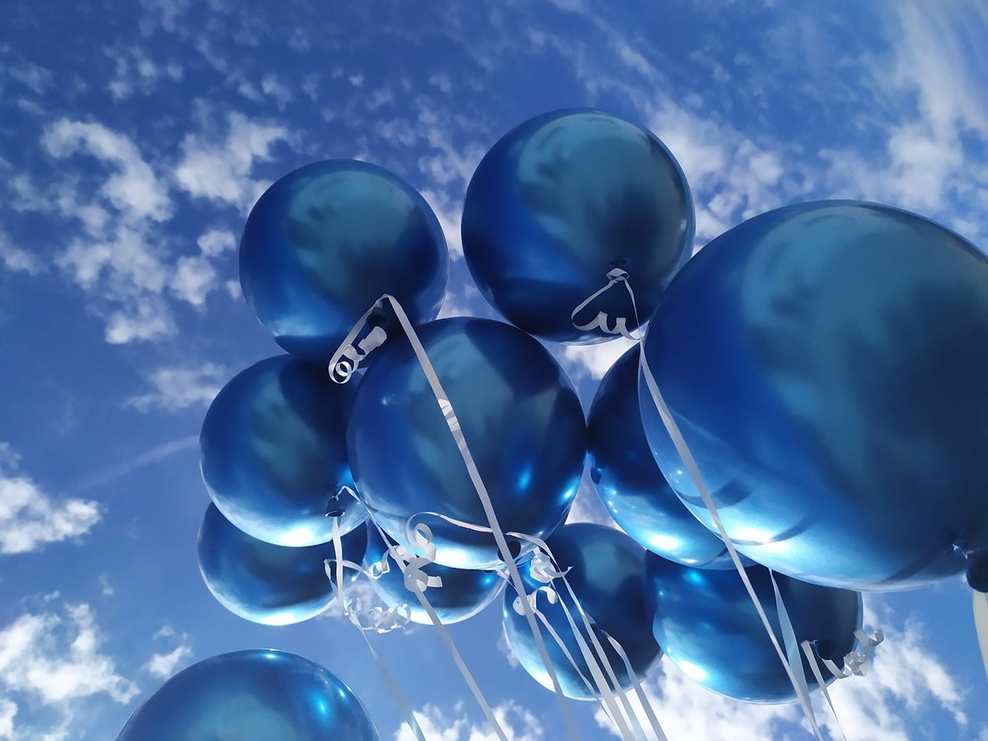 191815535 257815965948187 8947691689380246924 n