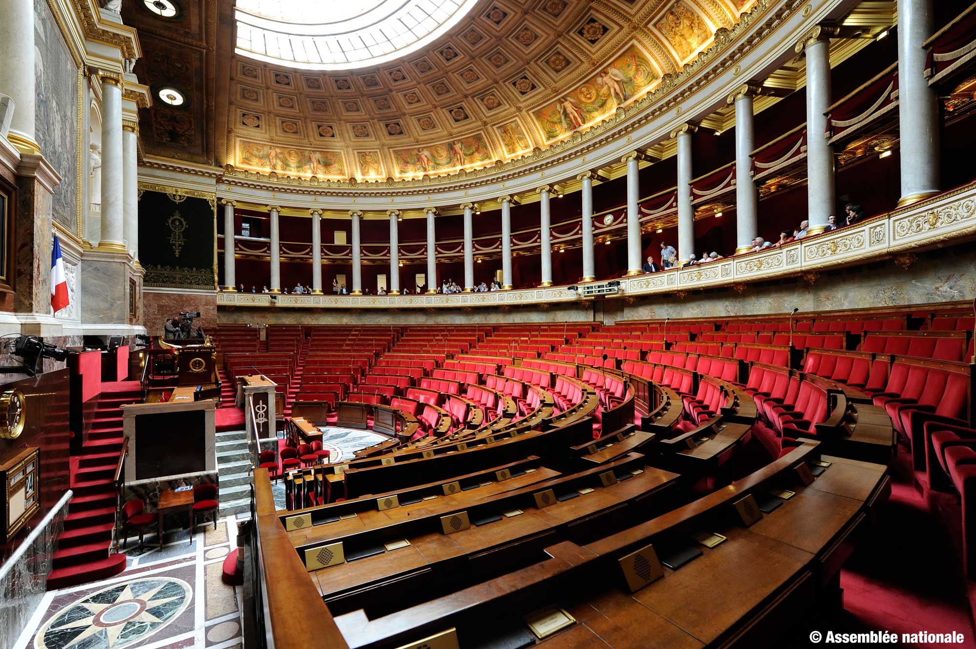 Allo, Monsieur le Député ?