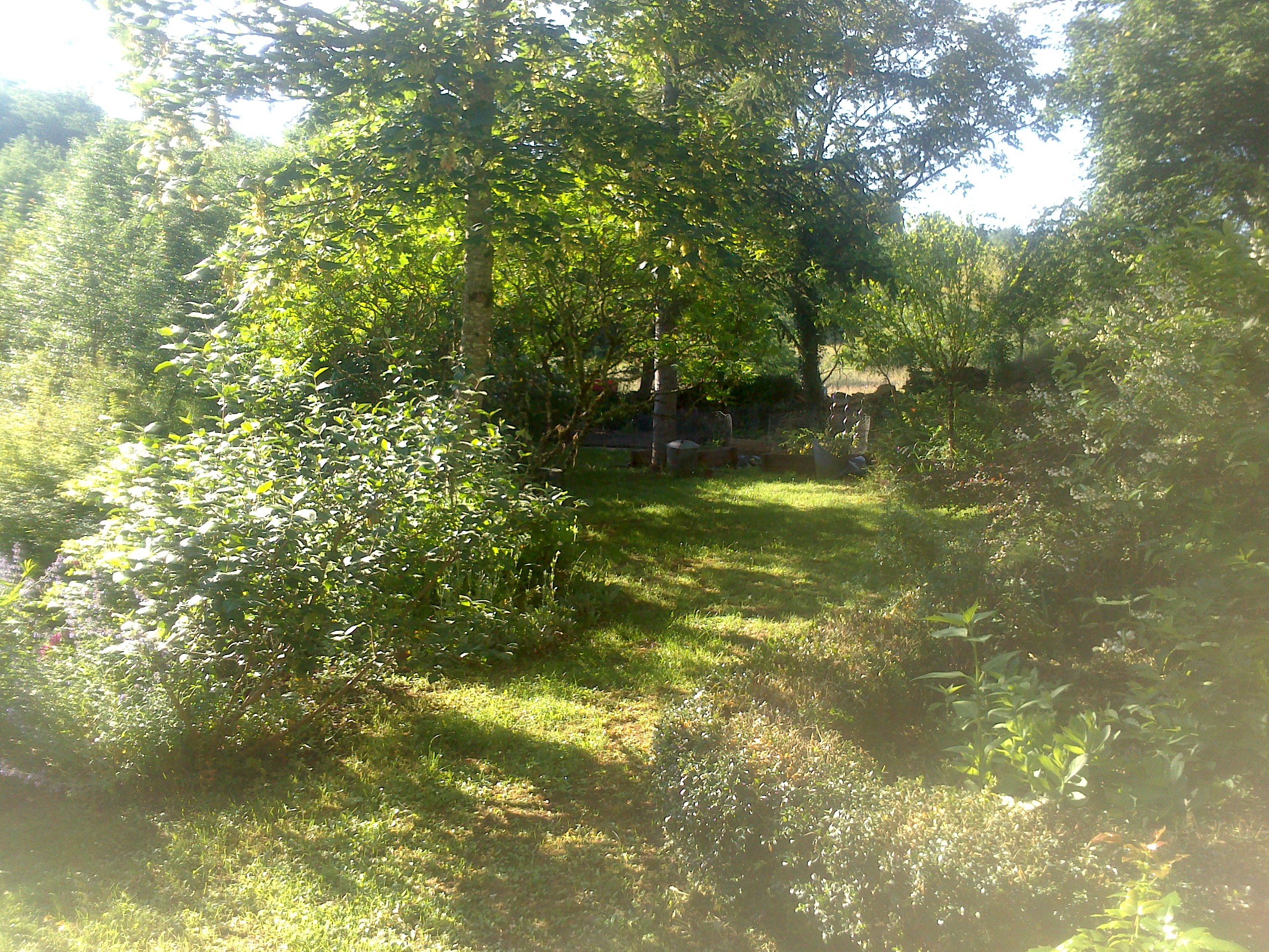 Dsc 0008