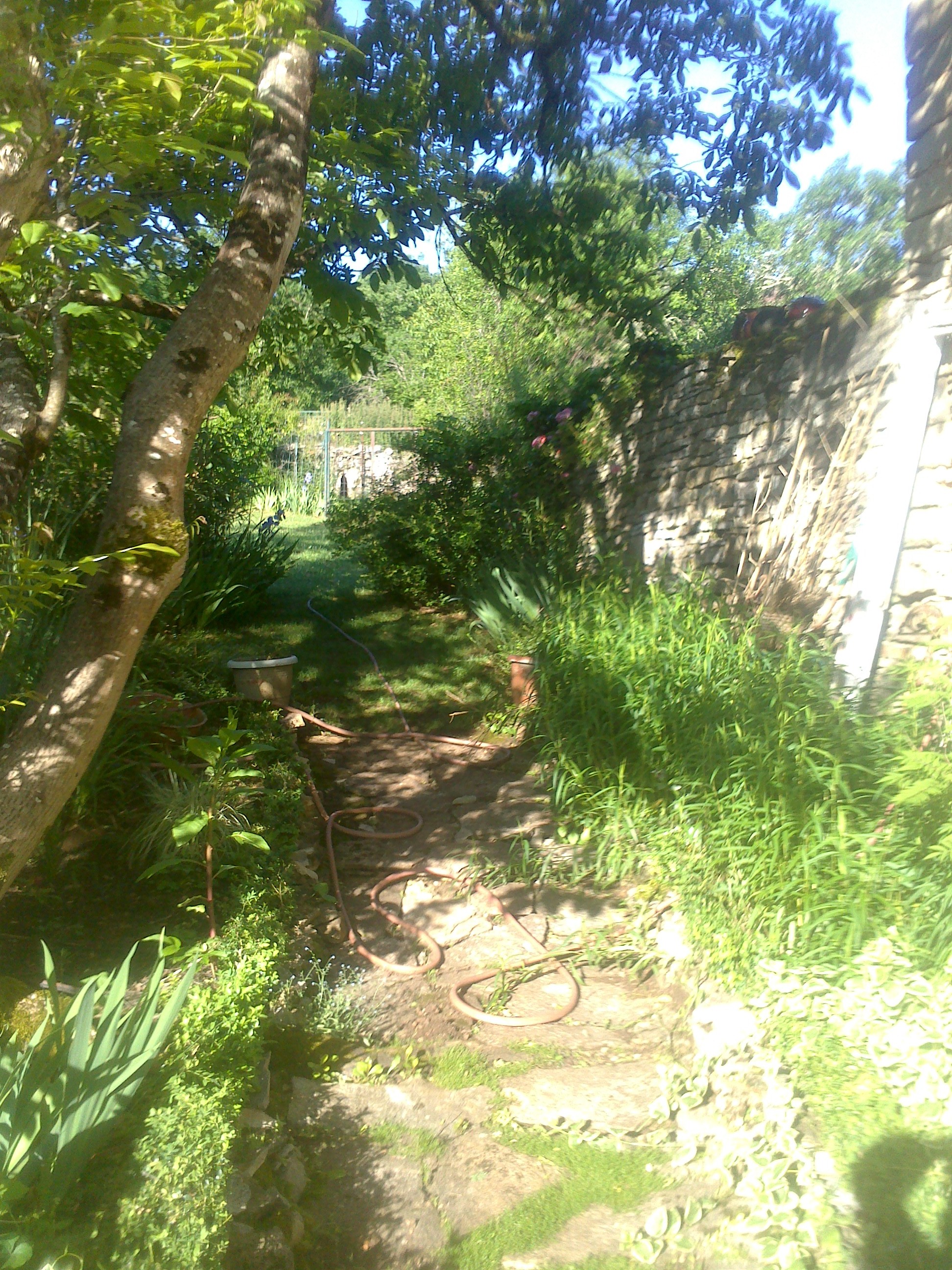 Dsc 0009