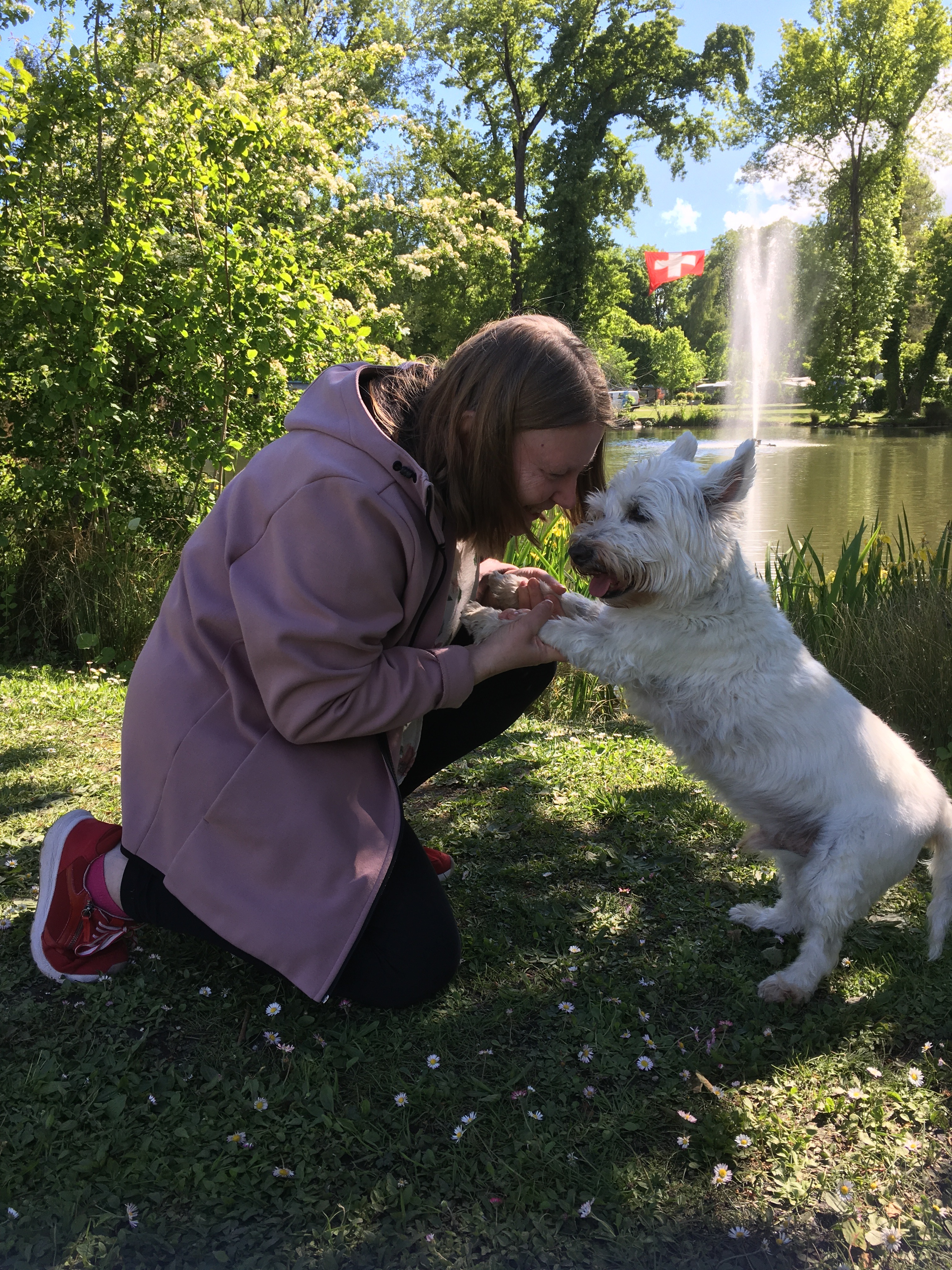 Communication Animale Histoires