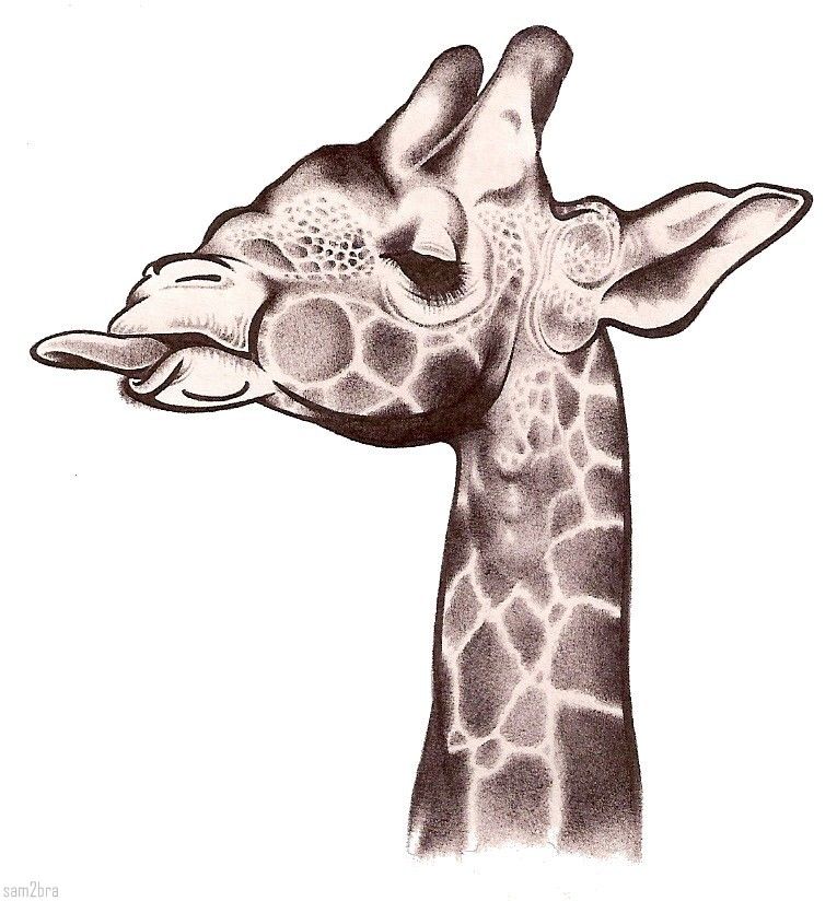 Girafe sam2bra