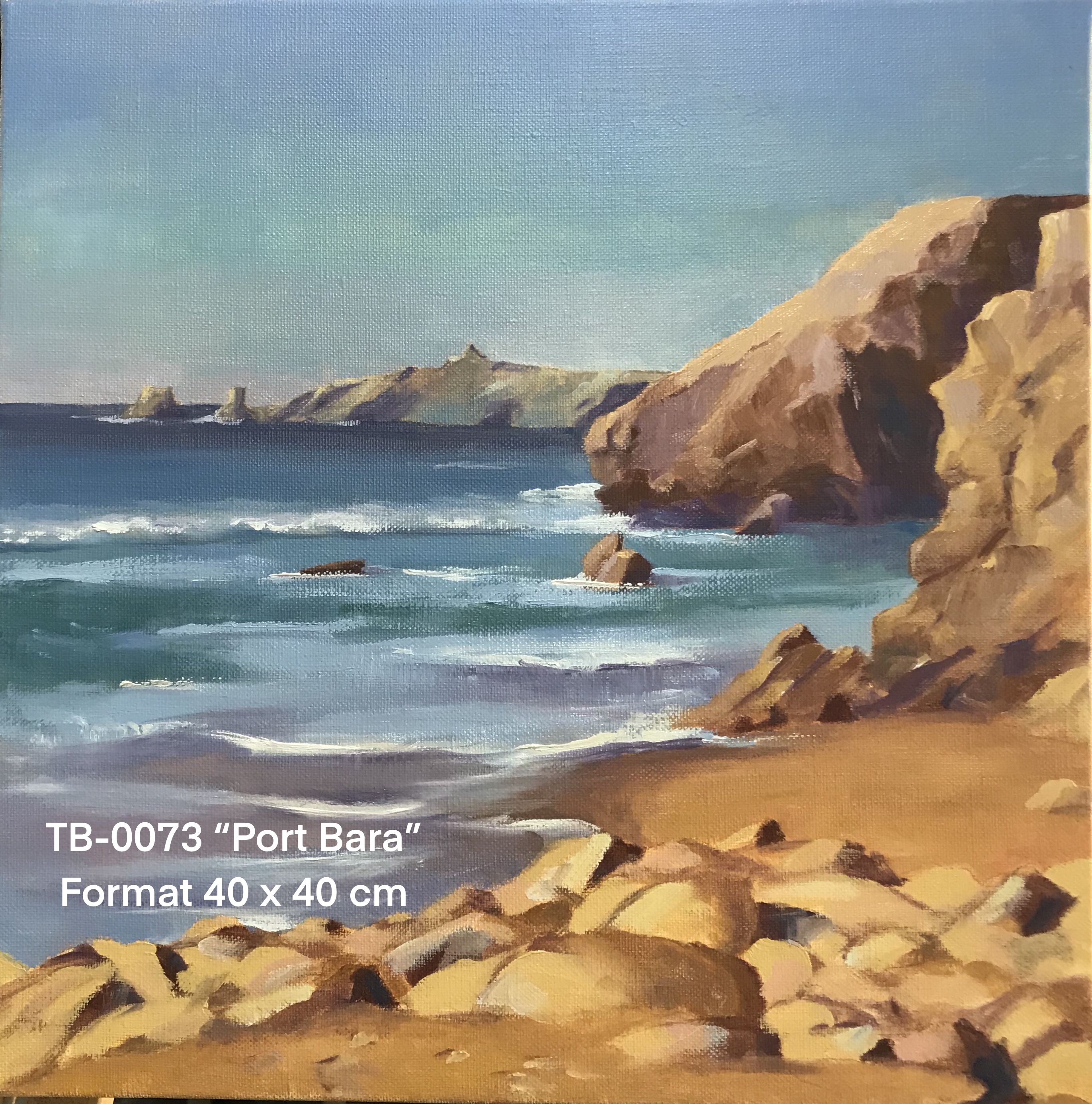 Ty by artiste peintre quiberon tb0073