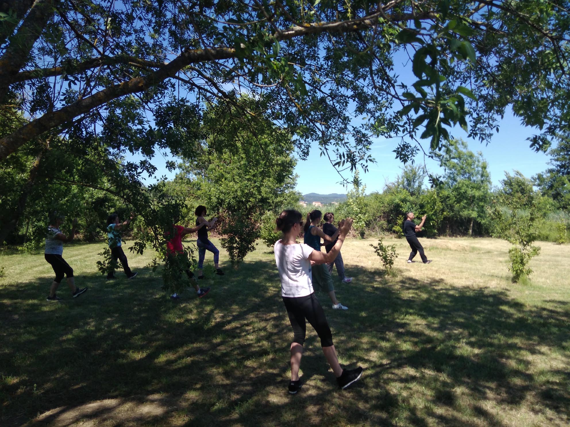 Tai chi 4