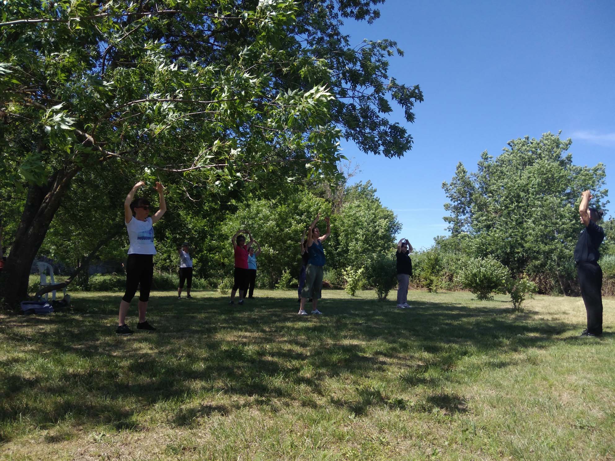 Tai chi 6