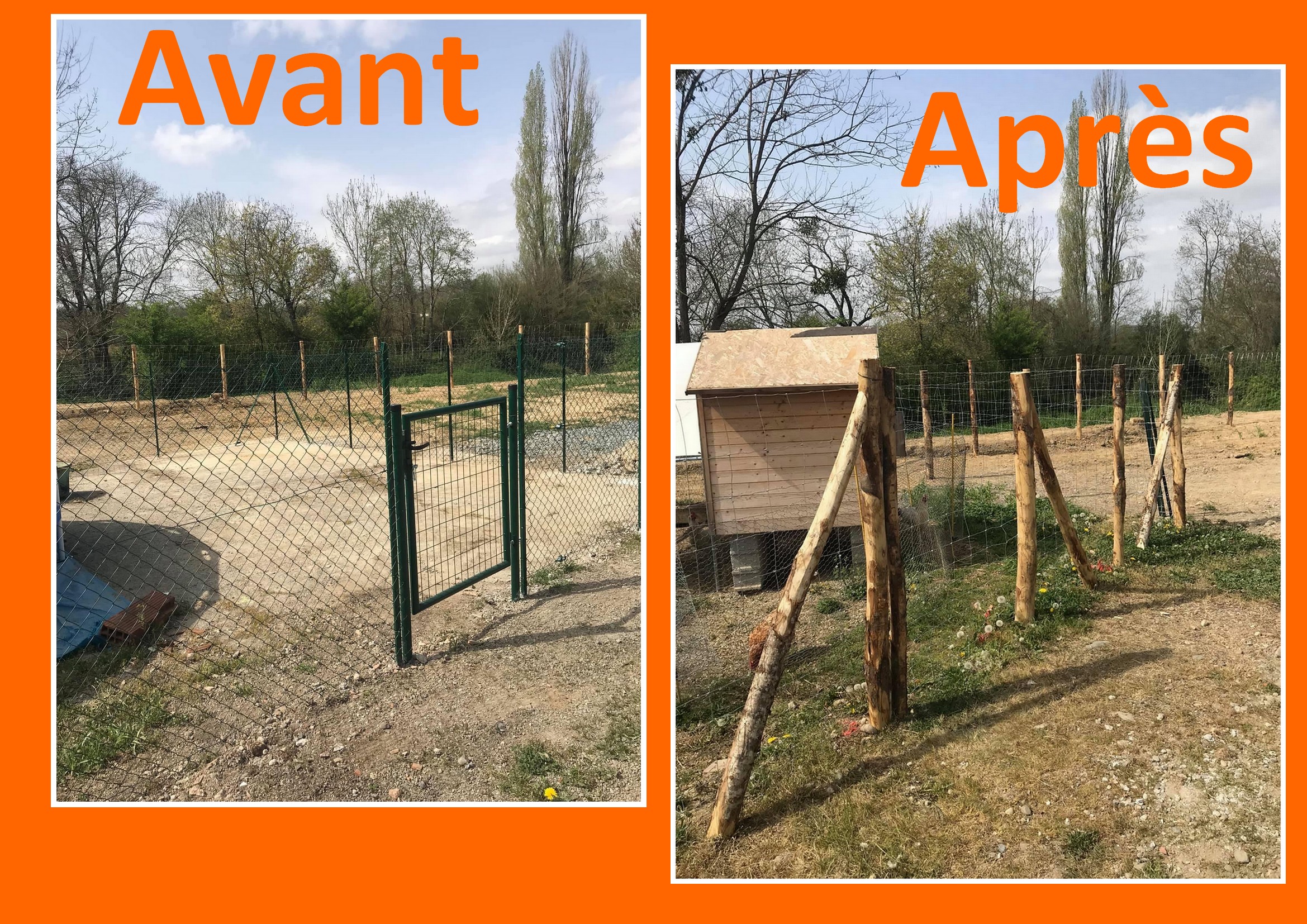 Avant-apres