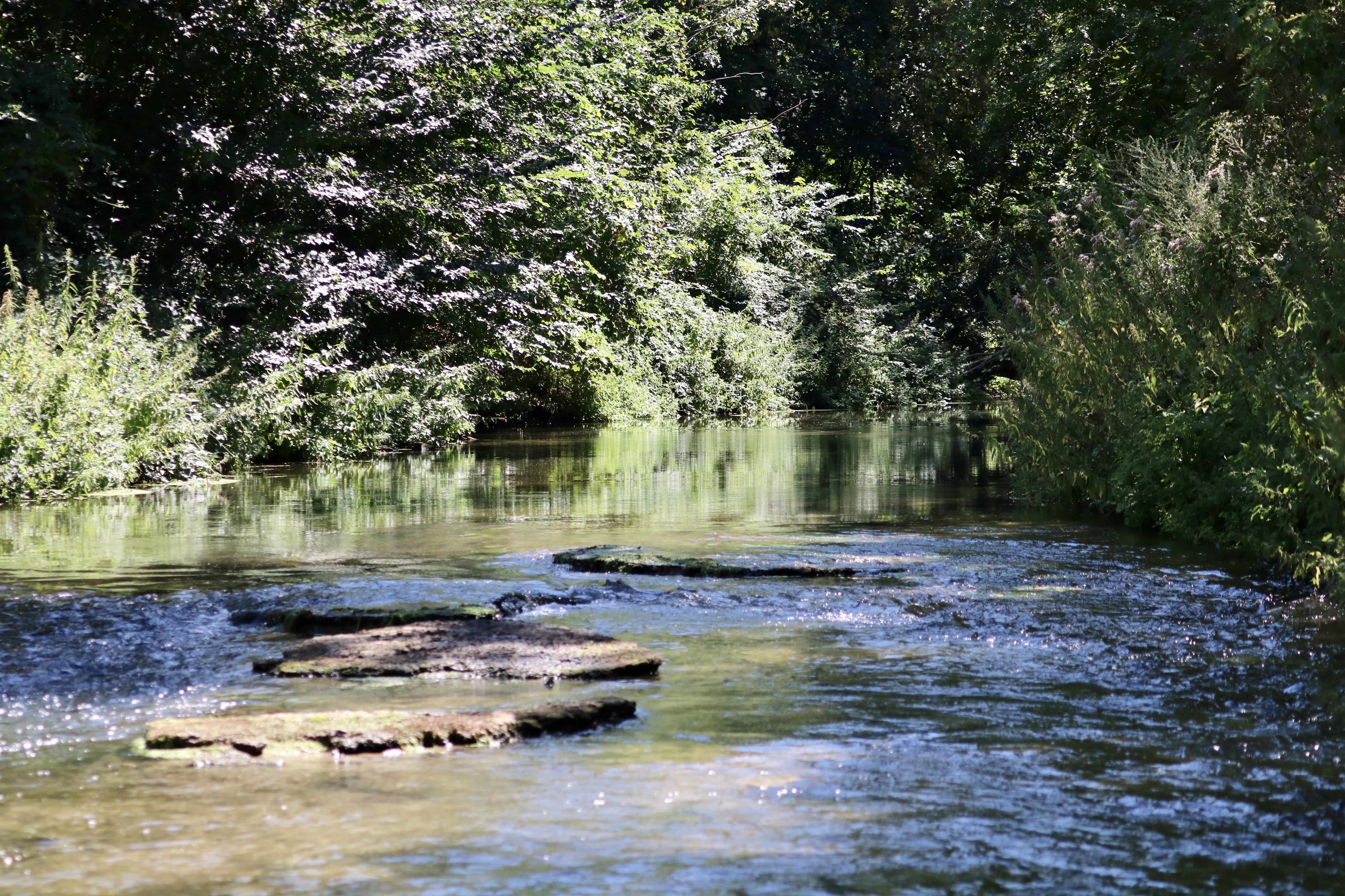 Bord de riviere les clefs de milton gite proche paris 4 