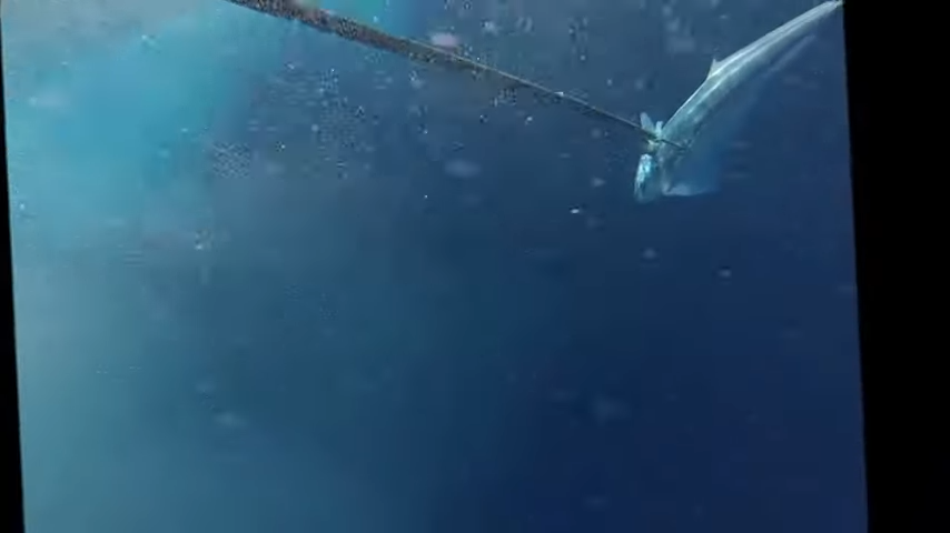 Peche au mahi mahi a tahiti 1 5 screenshot