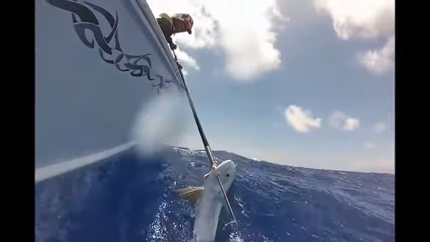 Peche au mahi mahi a tahiti 4 55 screenshot