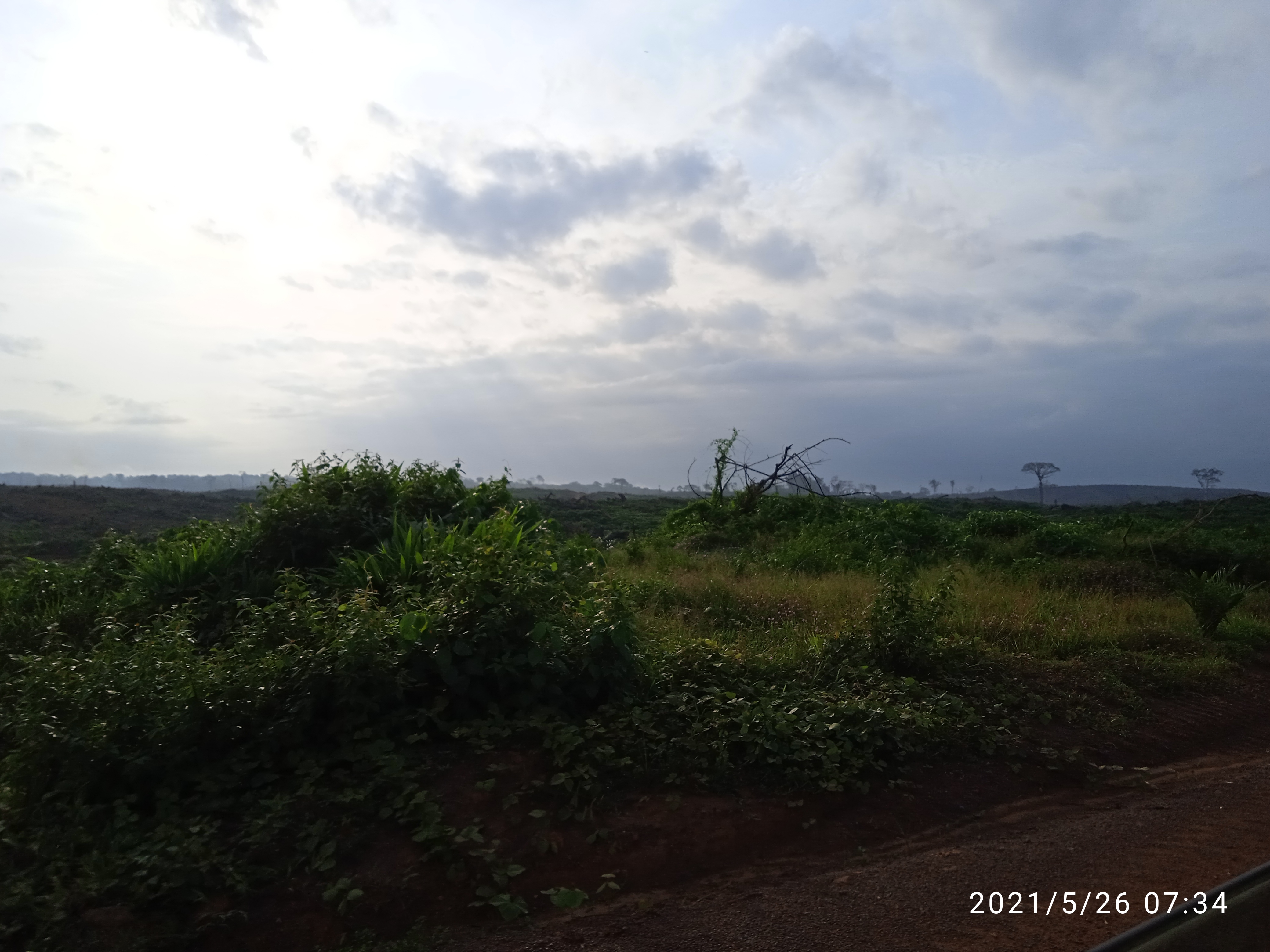 IMG 20210526 073450 1