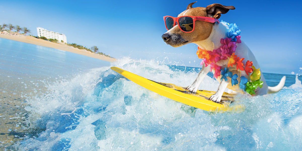 Carte article 10 1200x600