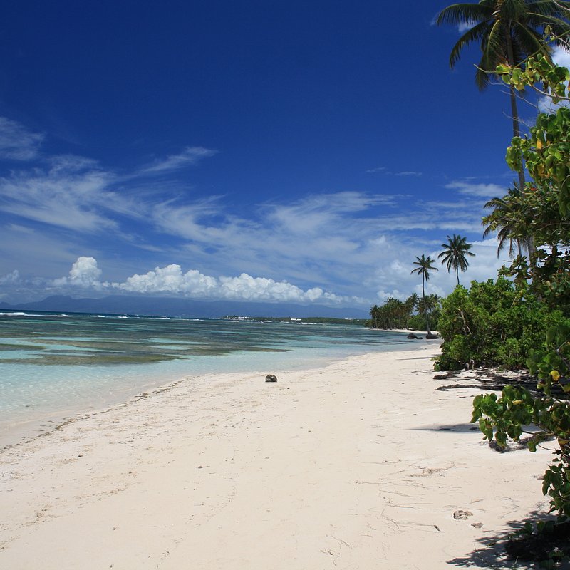 Plage de bois jolan vue