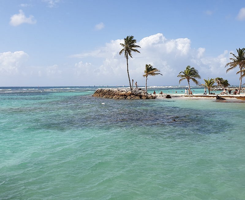 20190217 102002 largejpg