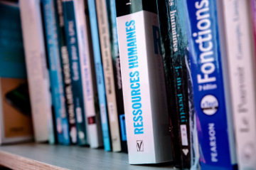 Compétences et Professionnalisme - Demeter Pro Ressources et Développement