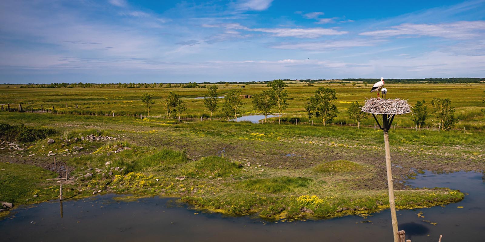 Dixmerie prairies 1600x800