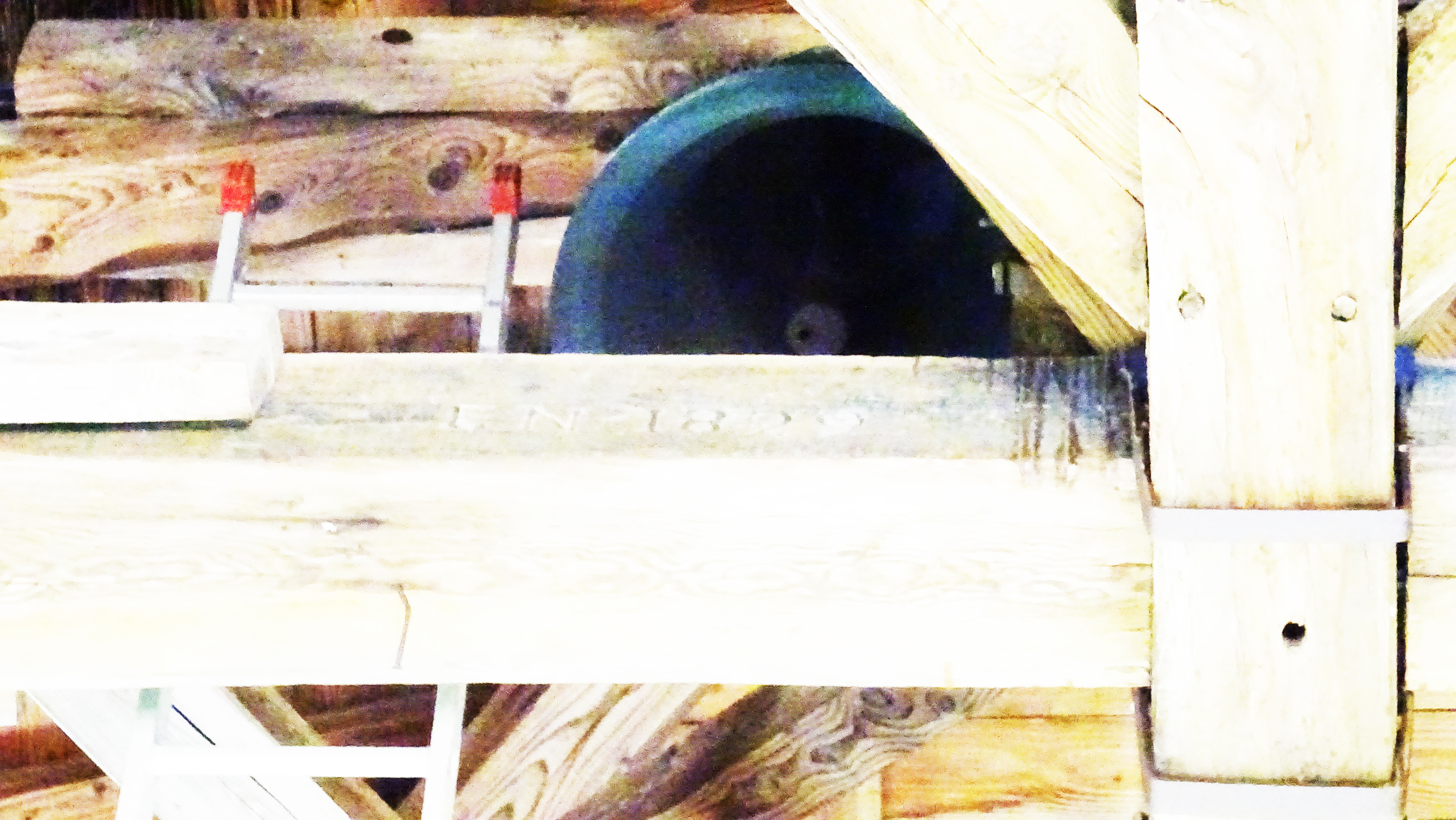 Cloche 4