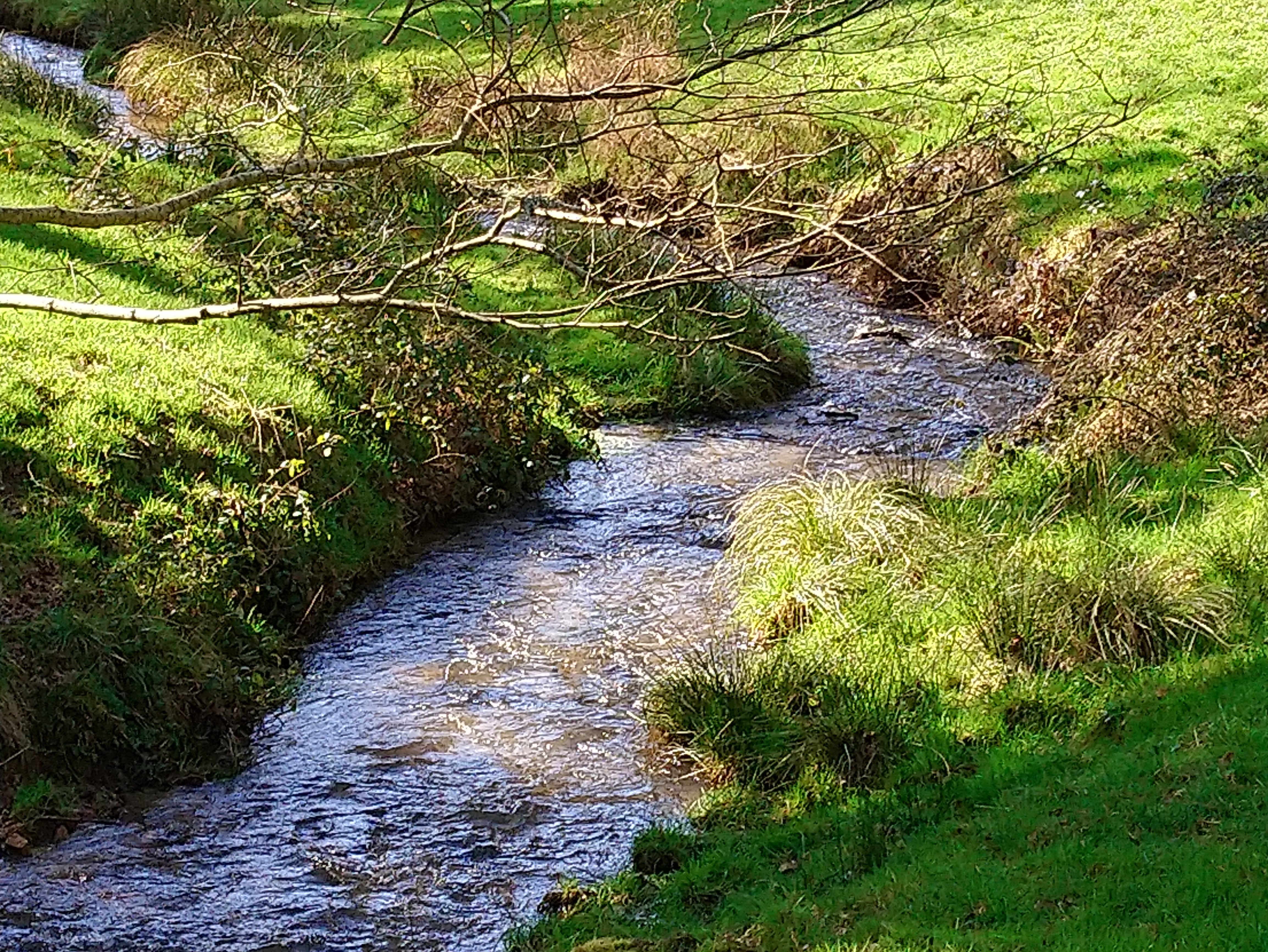 Dsc 1413
