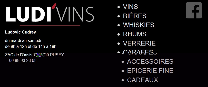 Ludi Vins partenaire de l'Agm Vesoul Basket 