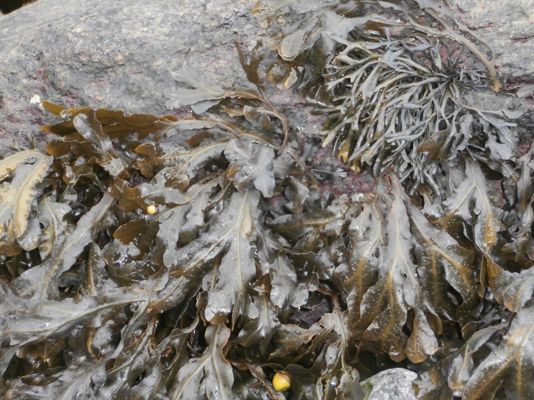 123923971 107595887831079 6777532871958596581 n