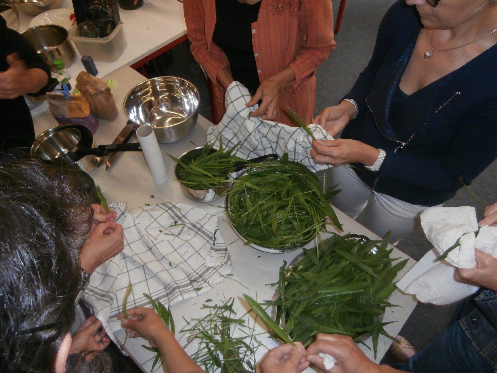 124514916 107594697831198 1817579829192811169 n