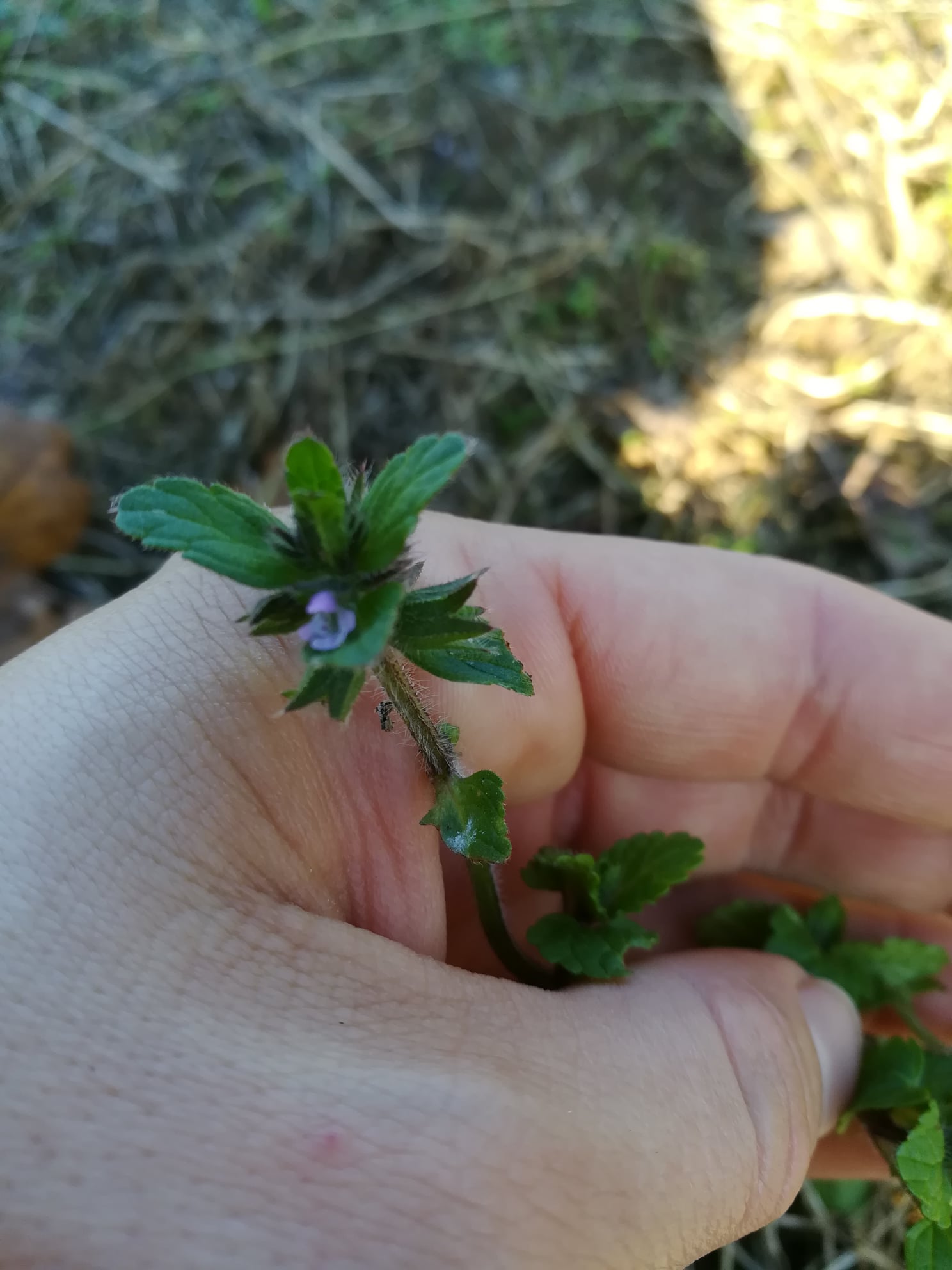 124698225 107595171164484 8839754615598793420 n