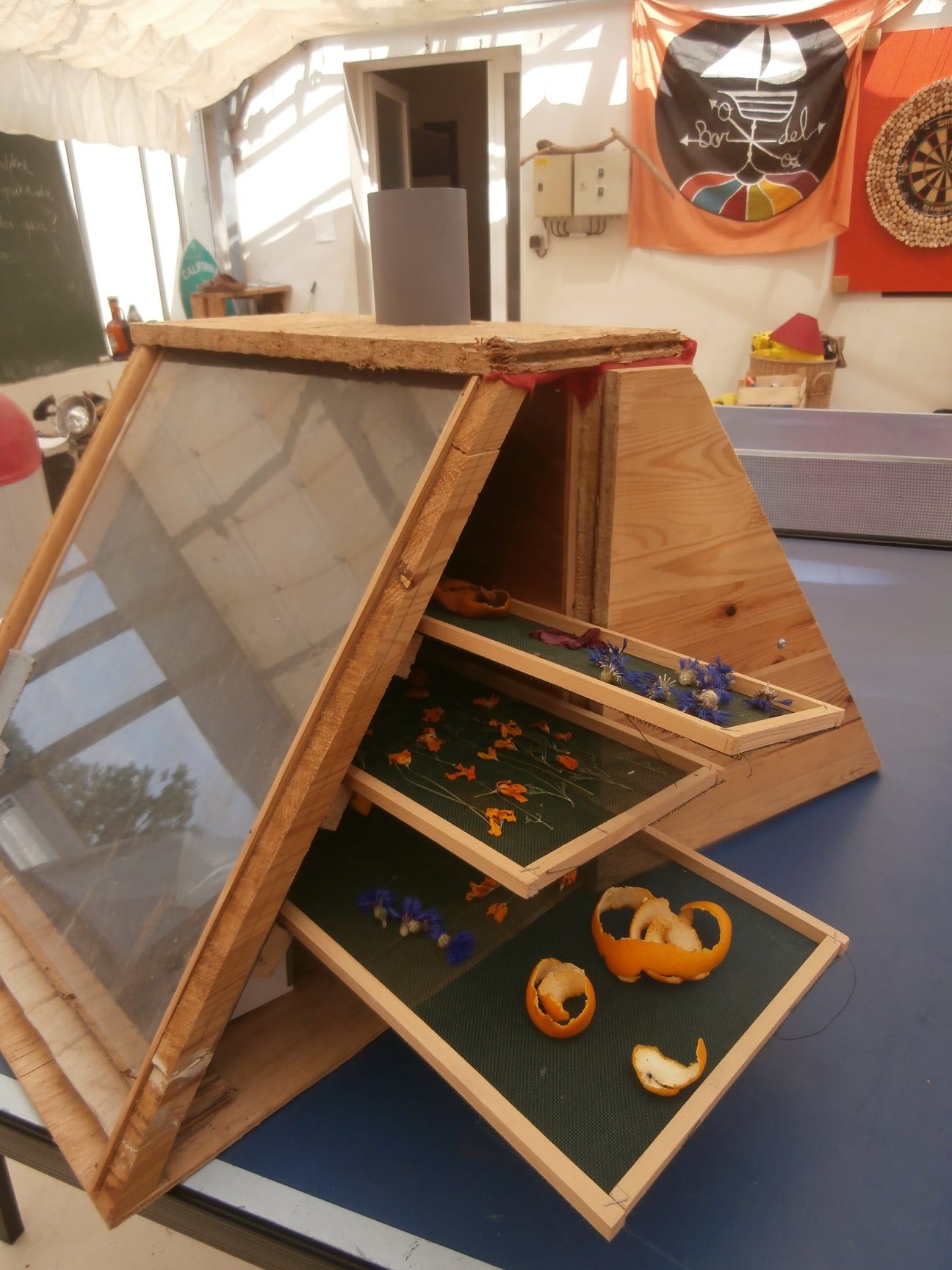 124712795 107594654497869 4181922263667665888 n