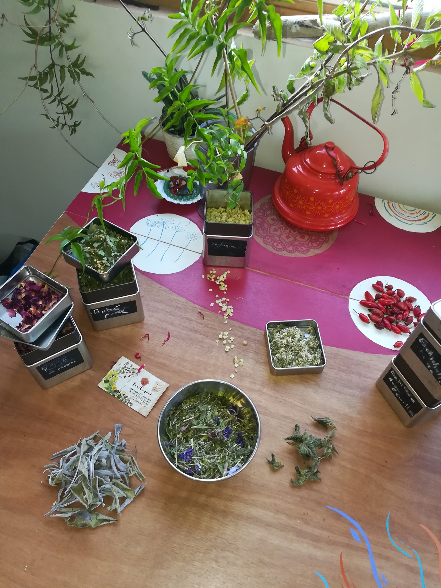 129158988 133606208563380 4722102378162717929 n