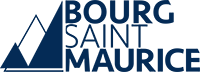 LogoBSM bleu