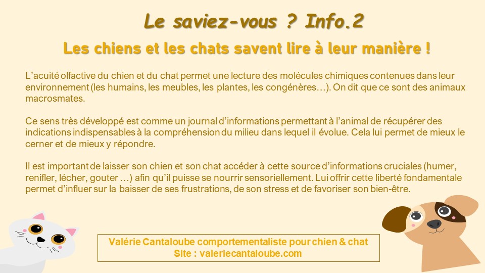 Le saviez-vous ? Info n.2 : Les chats & chiens savent lire à leur manière ! 