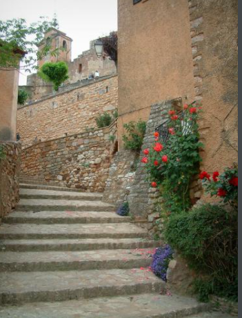 Capture d ecran 2021 07 08 192620ruelle en escalier ornee de rosiers roussillon