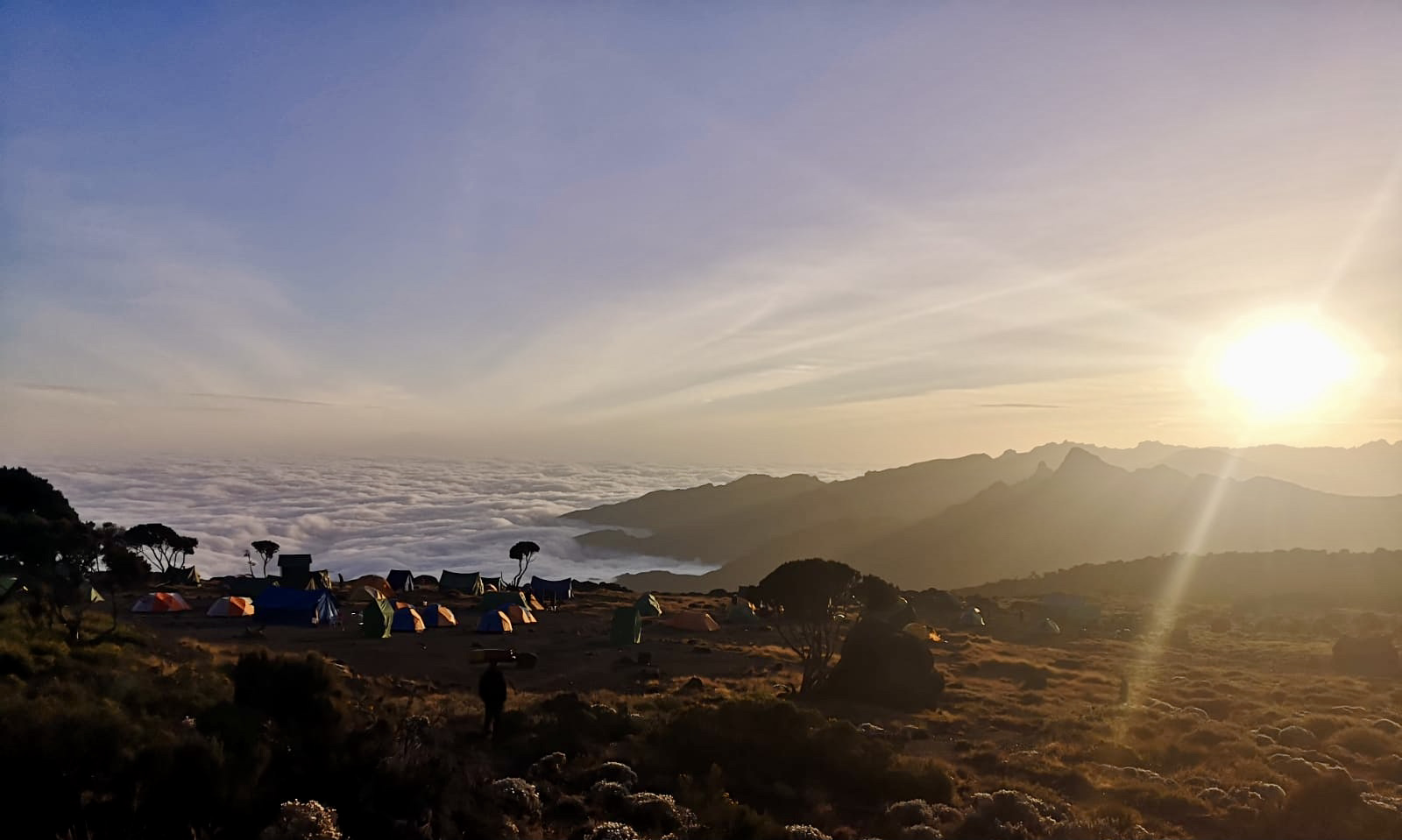 5 895m associés à 2 projets caritatifs