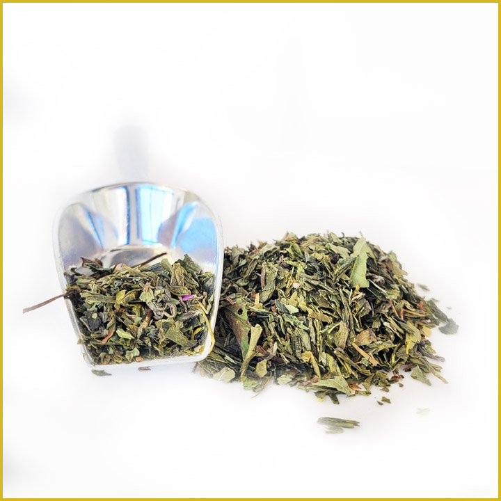 Info the-vert rose-rencontre-menthe dore