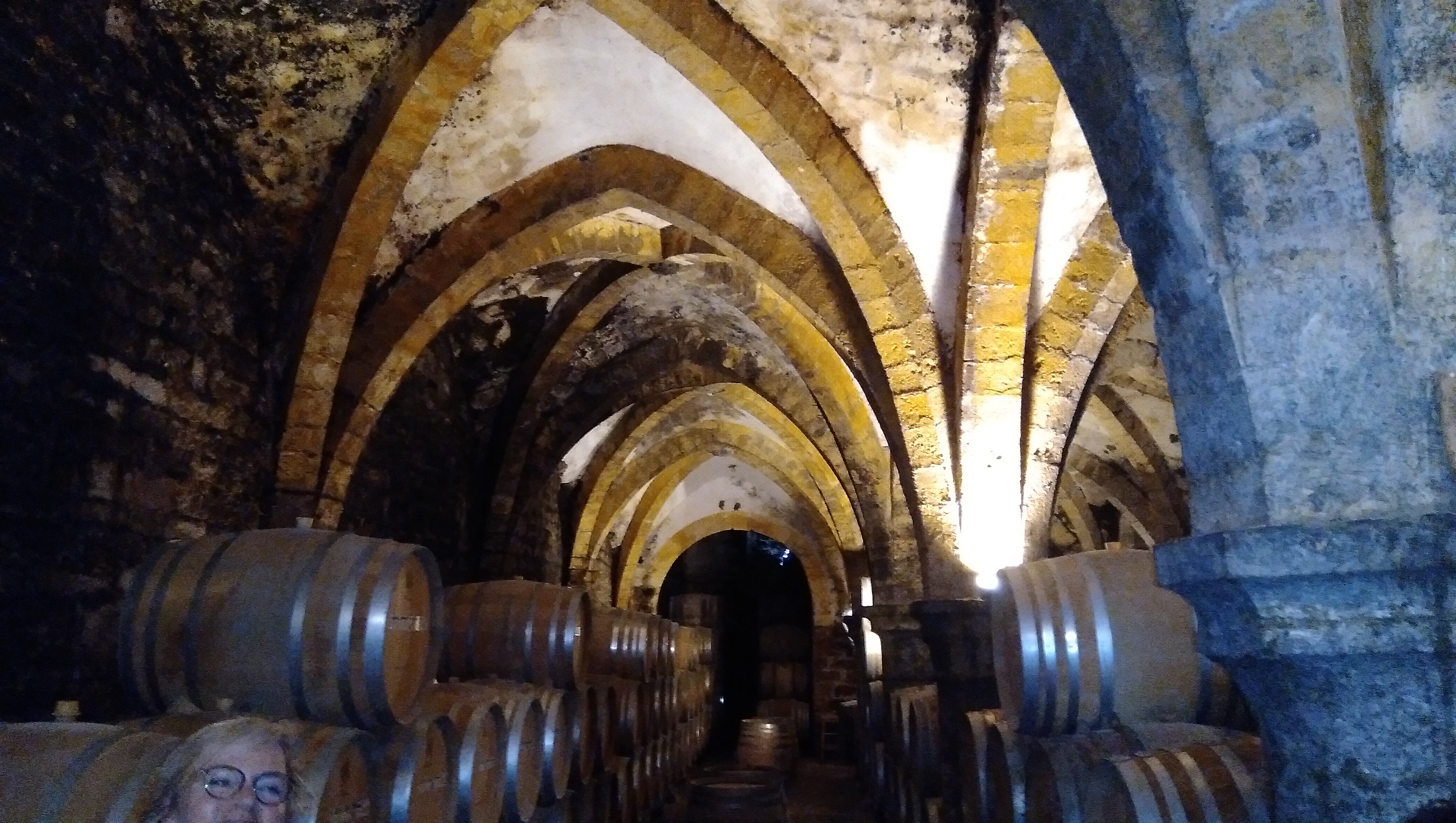 Visite-cave-vin-Arbois-Poligny