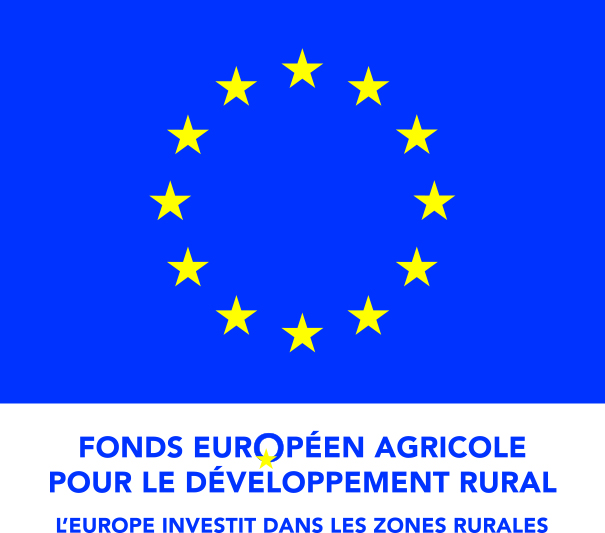 Logo-ue-feader-quadri