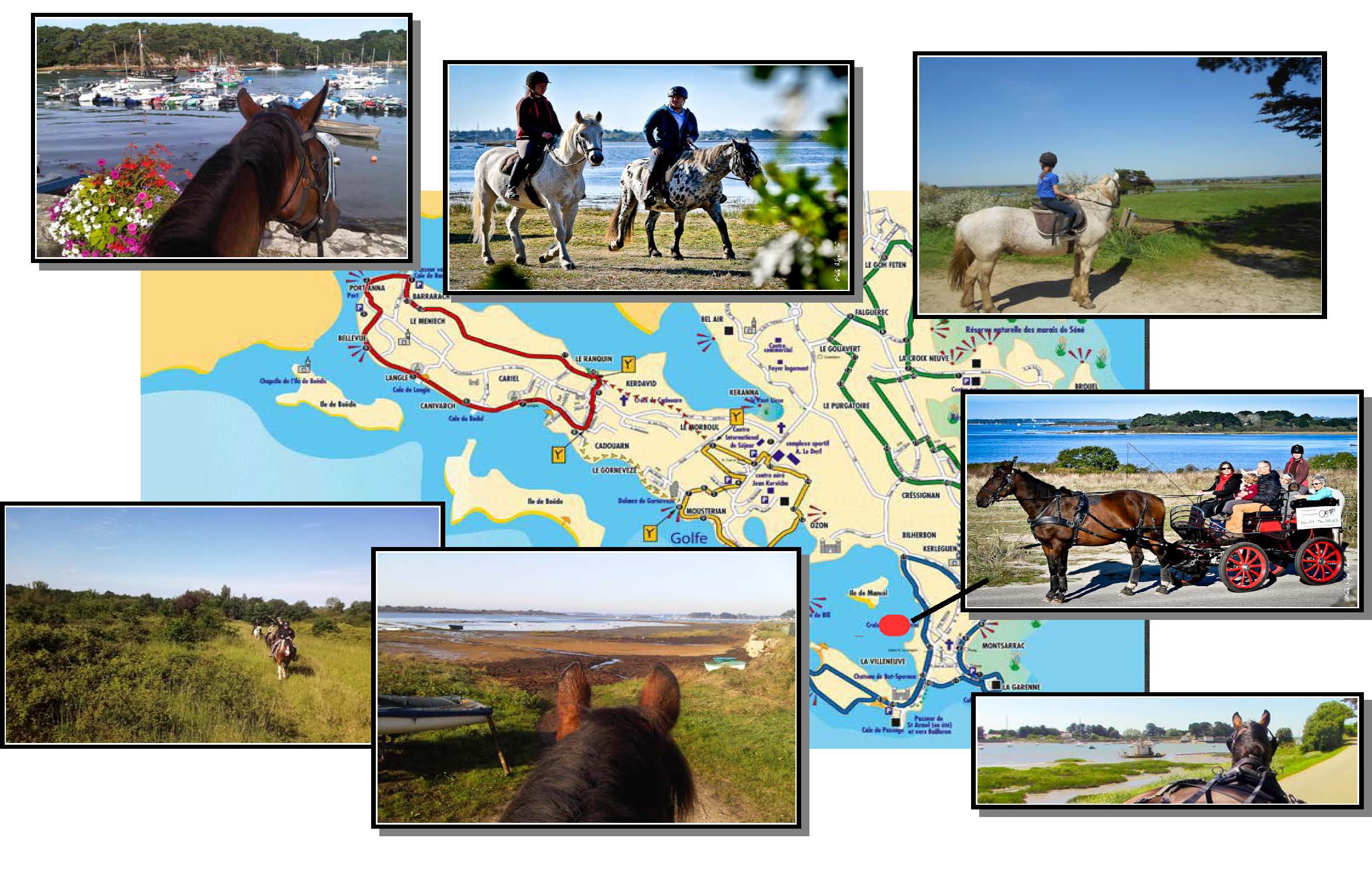 Montage-carte-de-sene-site-internet-info-3